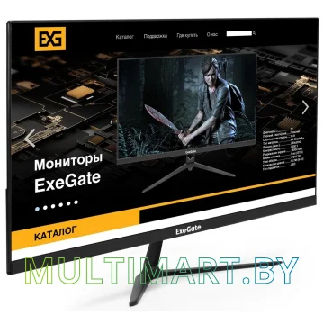 Монитор ExeGate SmartView EP2407TA (EX295525RUS) картинка 2